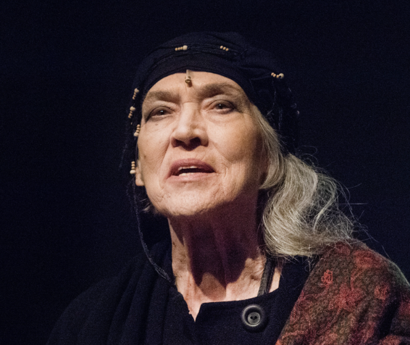 Obrázek umělce Johanna Tesařová
