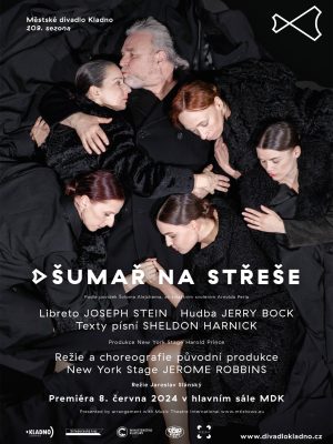 Obrázek představení Šumař na střeše