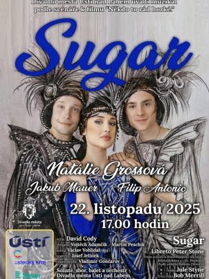 Obrázek představení Sugar