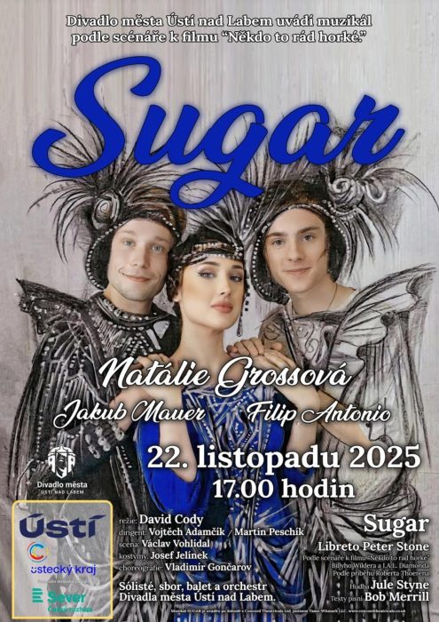 Obrázek představení Sugar