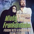Obrázek představení Mladý Frankenstein