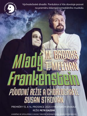 Obrázek představení Mladý Frankenstein