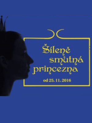 Obrázek představení Šíleně smutná princezna
