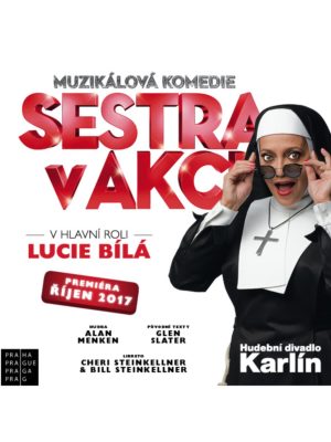 Obrázek představení Sestra v akci