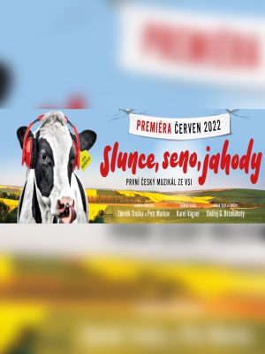 Obrázek představení Slunce, seno, jahody