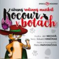 Obrázek představení Kocour v botách