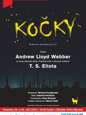 Obrázek představení Kočky