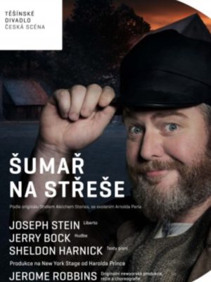 Obrázek představení Šumař na střeše