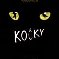 Obrázek představení Kočky
