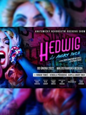 Obrázek představení Hedwig a její Angry Inch