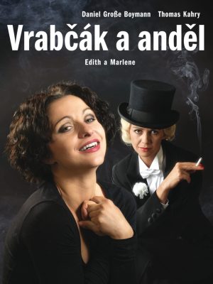 Obrázek představení Vrabčák a anděl