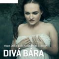 Obrázek představení Divá Bára