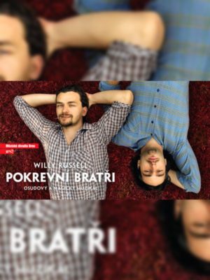 Obrázek představení Pokrevní bratři