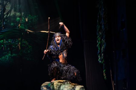 Fotka z představení Tarzan
